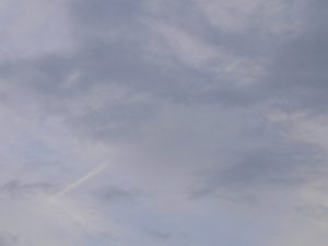 23rd Feb 2019 Saturday . a chemtrail / alumunized sky.